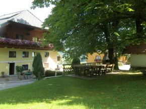 Отель Ferienwohnungen Jodlbauerhof, Вайрег-Ам-Аттерзее
